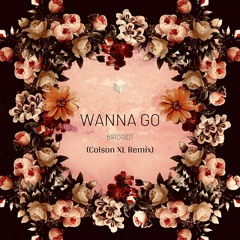 Birdriot - Wanna Go (SunShy Remix)