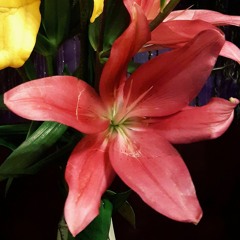 Sounds from Friday evening