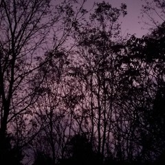 nightfall