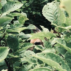 itsAniceDayiShouldbeOutside