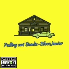 Blocc Junior-Pulling out Bandz