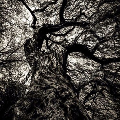 Modem Resistance - Mind Assault ( live cut )