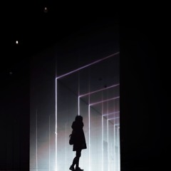 To Another Place LP - 2 Silhouette