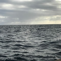 Eigenes Aktmodell MASTER (Prod. by trizard)