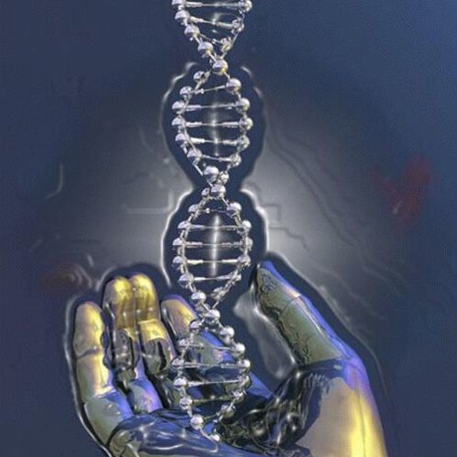 DNA Explosion