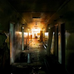 Vinnie Paz - Animal Rap (ILLREAL Remix)