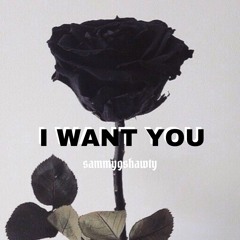 I Want You 💙 (prod . Ricci)