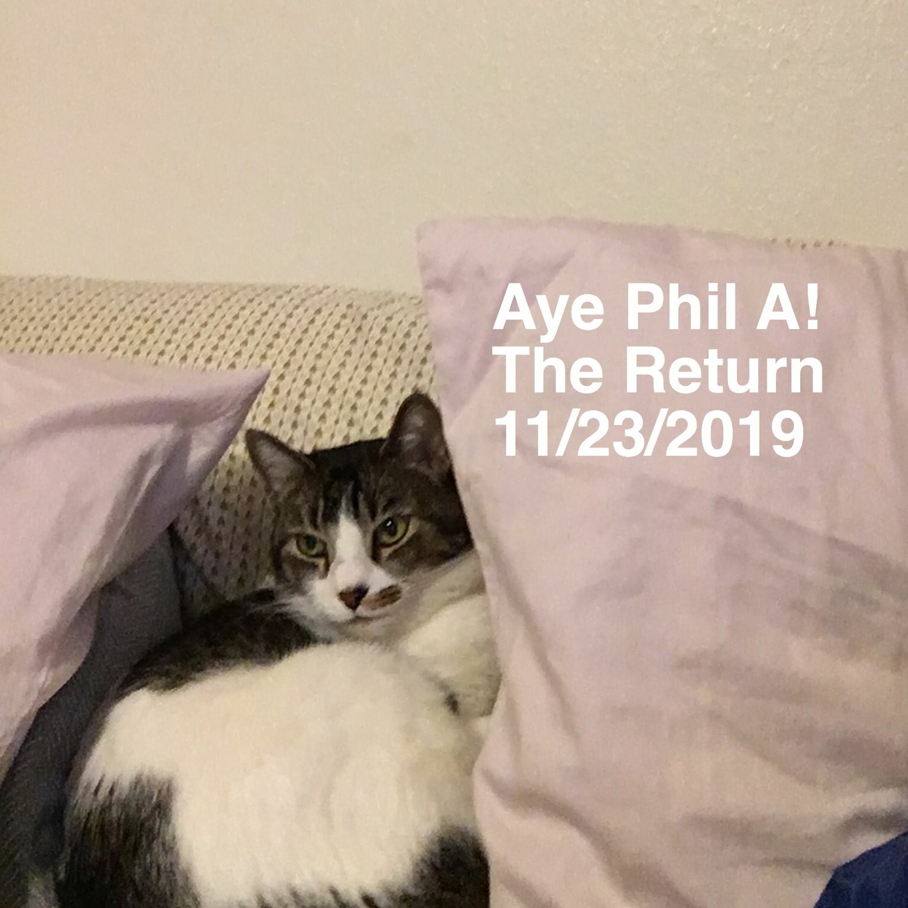 AYE PHIL A THE RETURN 11/23/19 thumbnail
