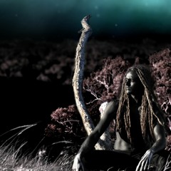 Ancestral Introspector