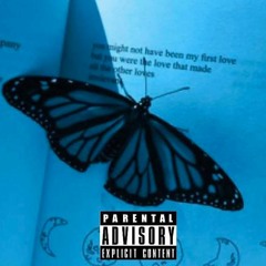 Butterfly Effect