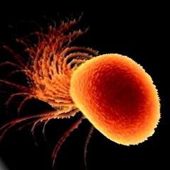 I, Extremophile