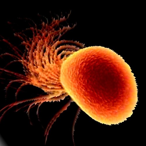 I, Extremophile