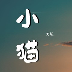 黄鲲 - 小猫【動態歌詞/Lyrics Video】