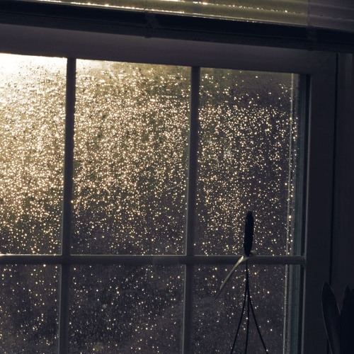 i'm scared to look outside w/ bixby