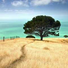 Venture Theatre Co Interview 091119 TribeFM Vapour Trail Show