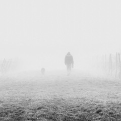 Misty Walk