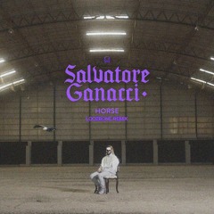 Salvatore Ganacci - Horse (LOOZBONE Remix)