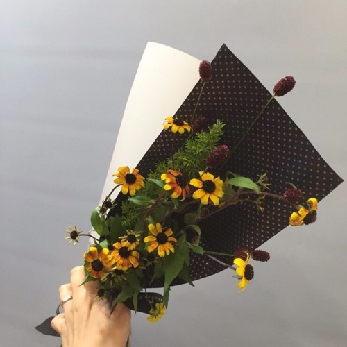 목성