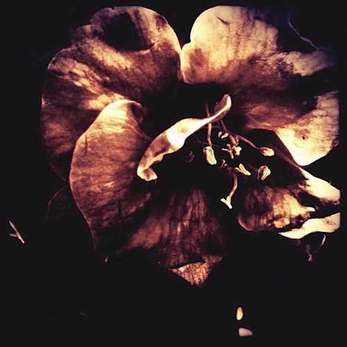 宮沢正一 キリストは馬小屋で生まれた 限定500枚 Mi05NjYyLmpwZWc.jpeg