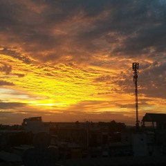 Muôn vạn lý do (homiesver)