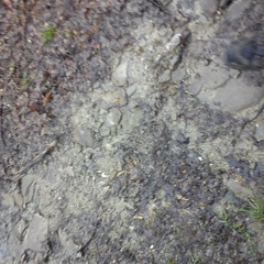 Sunday mood (short live impro)