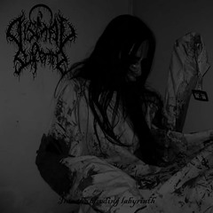 Paranoid schizophrenia