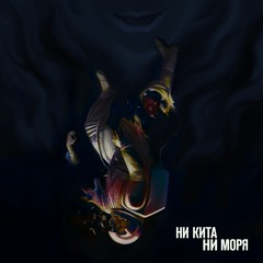 Если б я мог