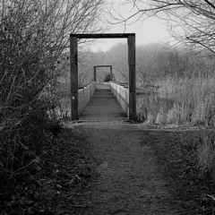 Calming sounds for the millennial generation