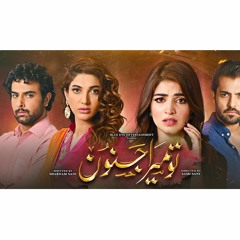 Tu Mera Janoon | OST |Tere Liye | Sahir Ali Bagga