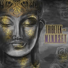 Tribetek - M.I.N.D.S.E.T ( Progressiv )