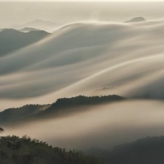 E.O.L.E. Part 01  Live at Baz'art 2019