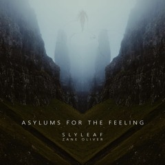 Asylums for the Feeling (prod. Zane Oliver)