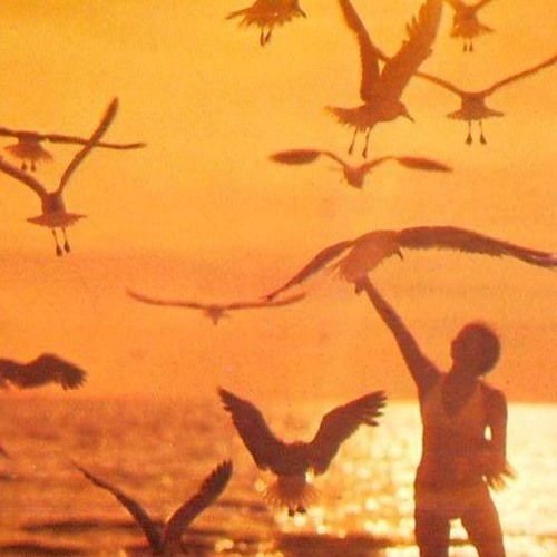 BVSMV & Fractal Man - Dreaming In Super 8