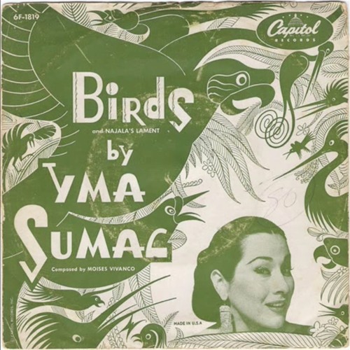 Birds (Kusht Edit) - Yma Sumac