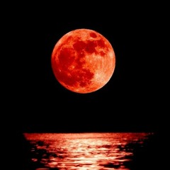 XiiiDolor - Poseidon