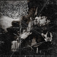 I Want To Watch You Wither Away