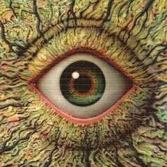 Eden (ft. Deny)[prod. olzoo]