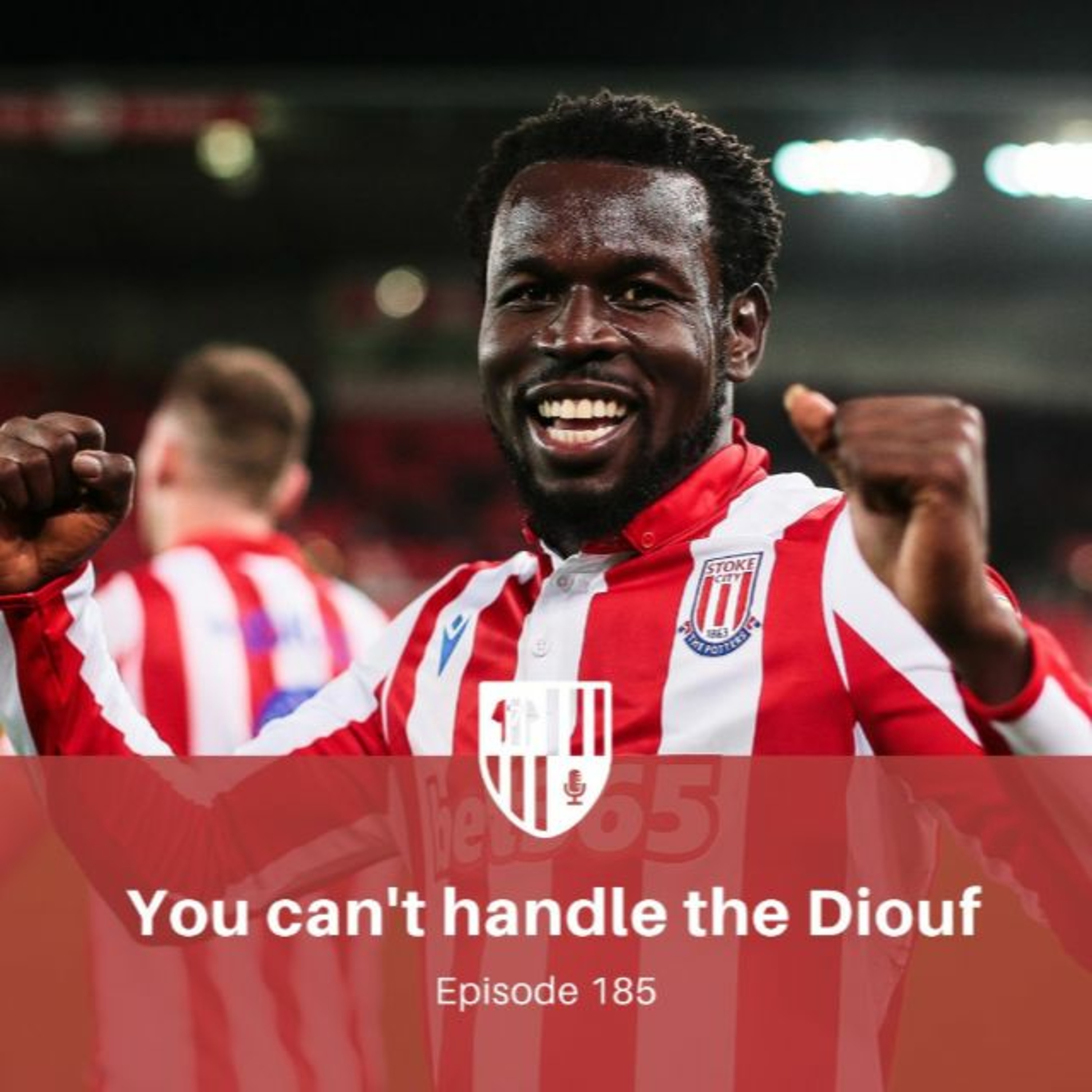 The Wizards of Drivel - Stoke City Podcast