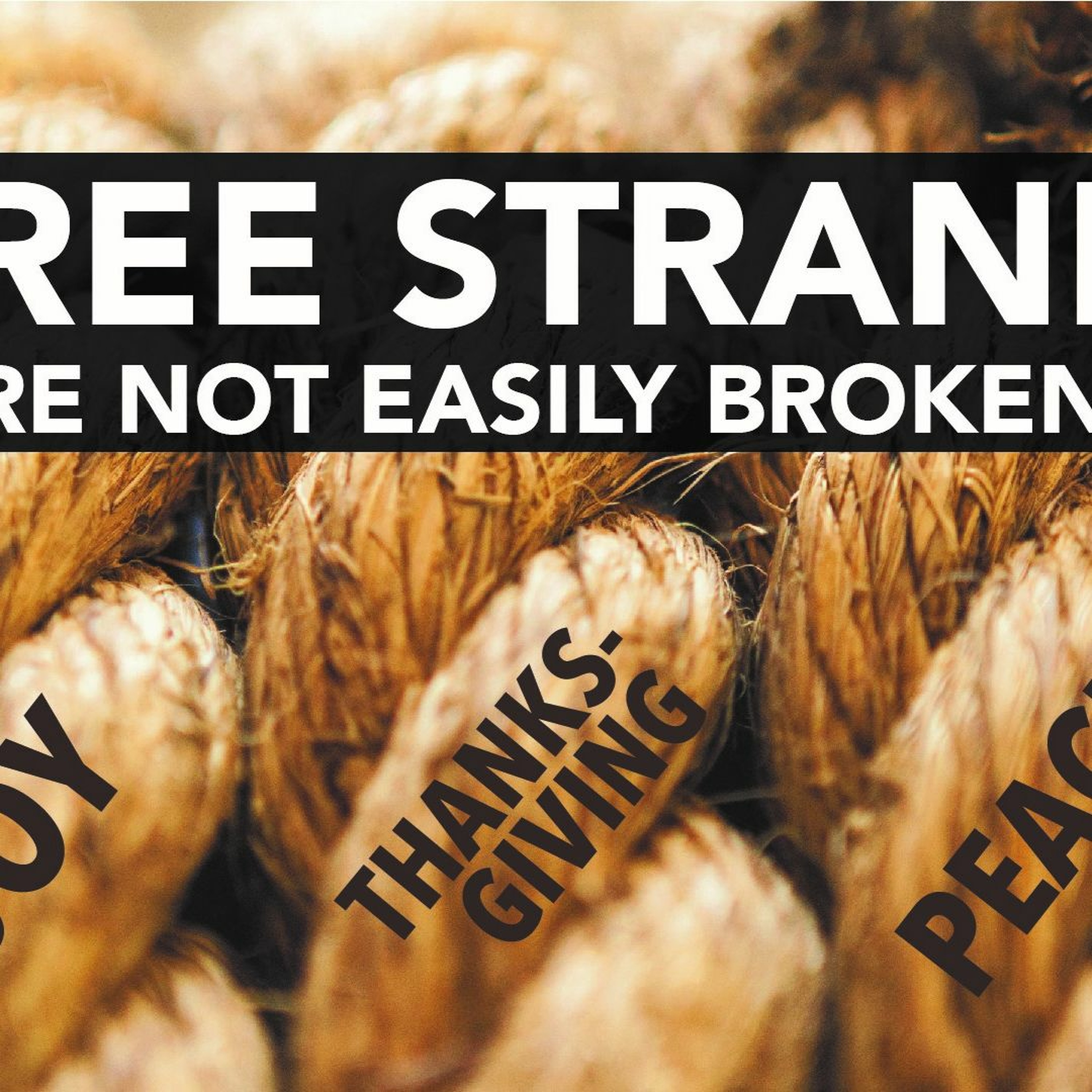 Three Strands are not Easily Broken- Thanksgiving Celebration episode artwork