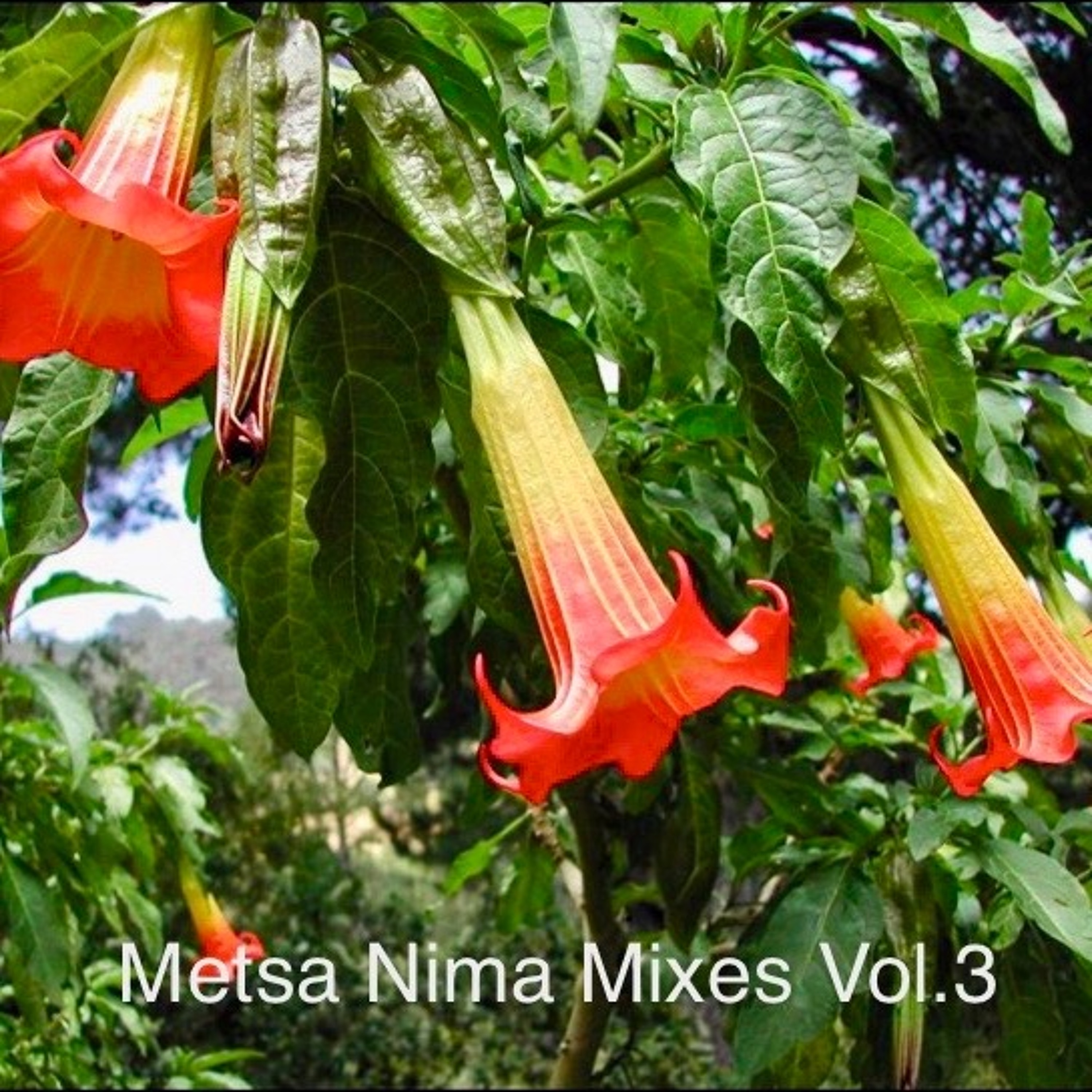 Metsa Nima Podcast