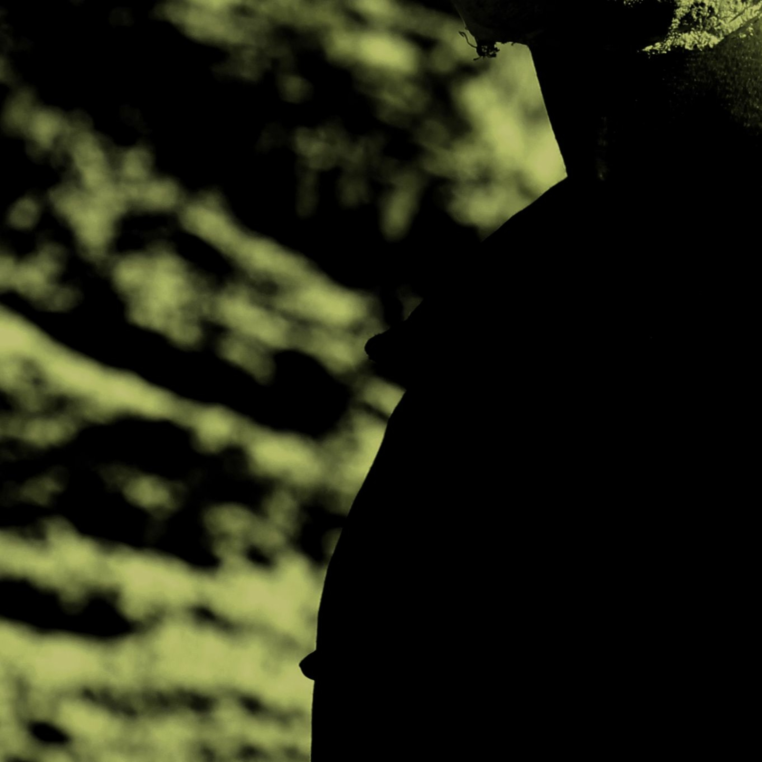 Vlimmer - Augenlicht episode artwork