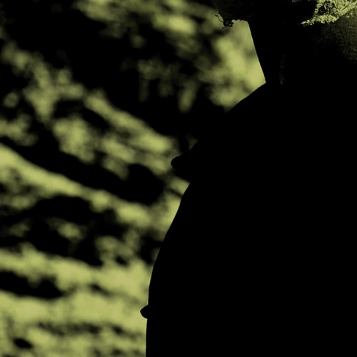Vlimmer - Augenlicht