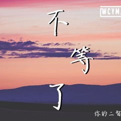 你的二智bb - 不等了【動態歌詞/Lyrics Video】
