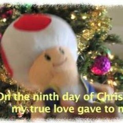 12 Days Of Christmas