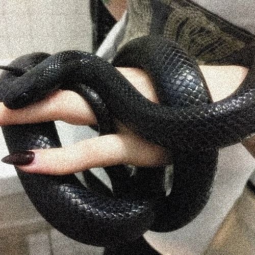 7XVN - I CRUSHED THE HEAD OF THE SERPENT (PROD. GHOSTCASTLE)