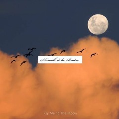 Fly Me To The Moon - COVER