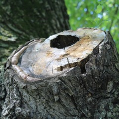 Hyperdrive by The MIDIator