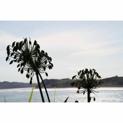 Sweet Summer Night Remix 2019