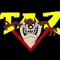 TAZ_100BOYZ