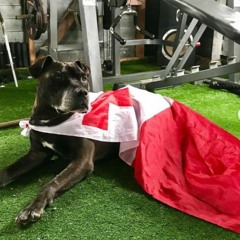 DJ Bluffsta Old Skool Mix Part 1